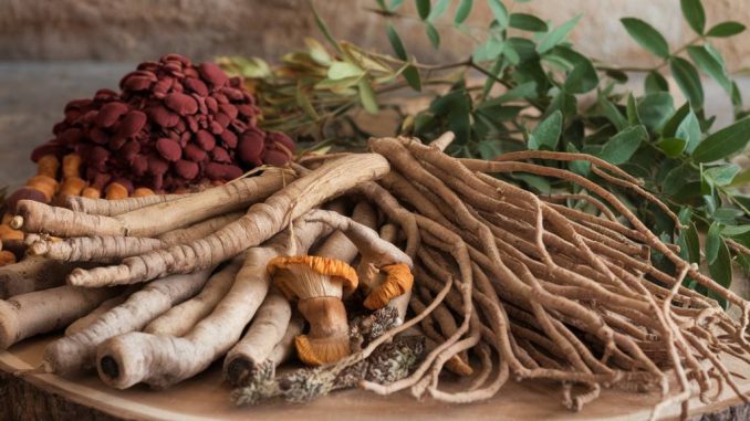 Adaptogens: nature's answer to women's energy and stress